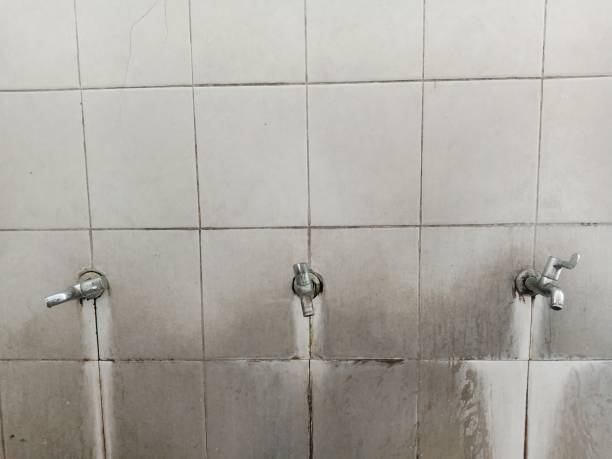 Walnut Park, CA Water damage restoration Company